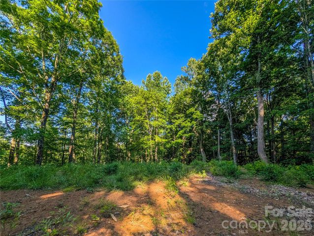 000 Amber Ranches None 47, Bakersville, NC 28705
