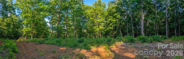 000 Amber Ranches None 47, Bakersville, NC 28705