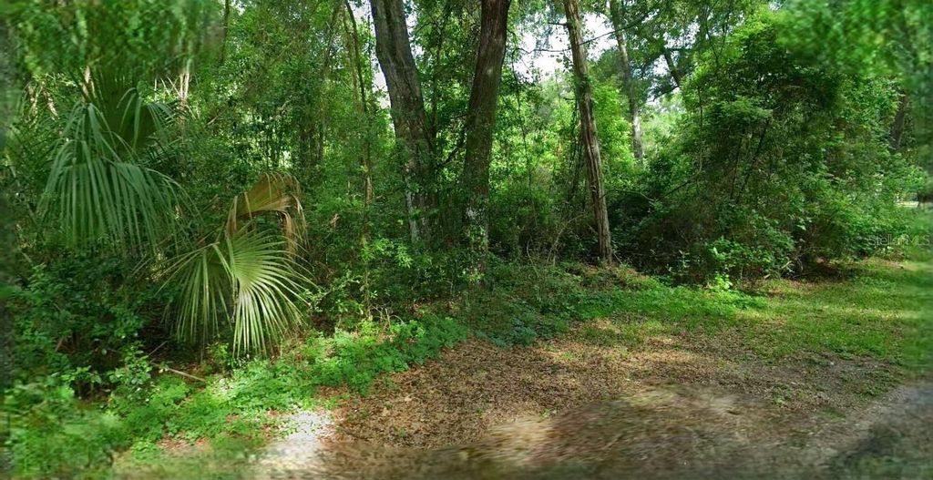 4226 N FOREST LAKE DRIVE, Hernando, FL 34442