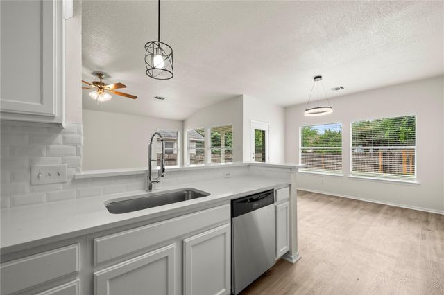 3920 Whitey Ford WAY, Round Rock, TX 78665