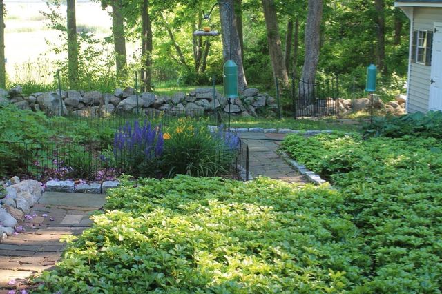 34 Dexter Ave, Sandwich, MA 02563