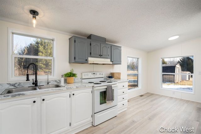 20436 Freedom Drive, Pierson, MI 49339