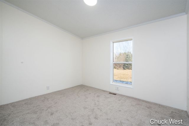 20436 Freedom Drive, Pierson, MI 49339