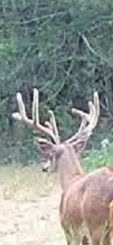 240 Magnolia, Bennington, OK 74723