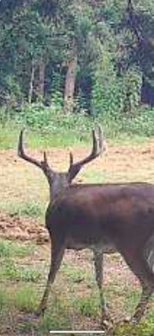 240 Magnolia, Bennington, OK 74723