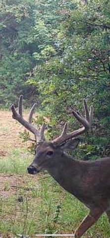 240 Magnolia, Bennington, OK 74723