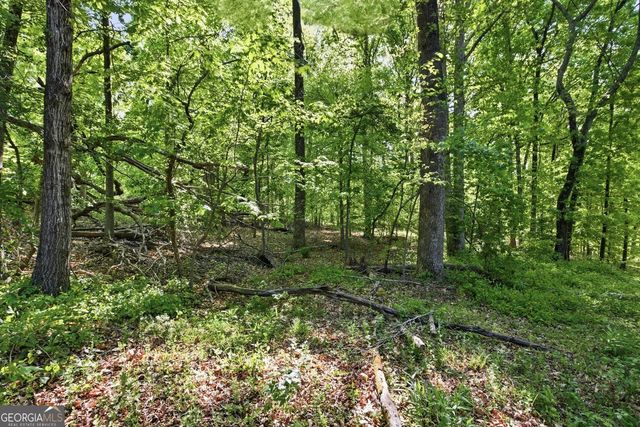 3691 Ledan Road, Gainesville, GA 30506
