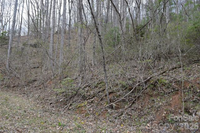 TBD Bel Air Road 20, Cullowhee, NC 28723