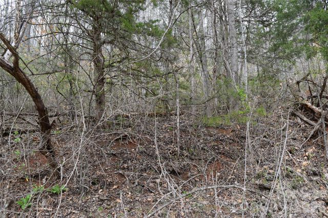 TBD Bel Air Road 20, Cullowhee, NC 28723