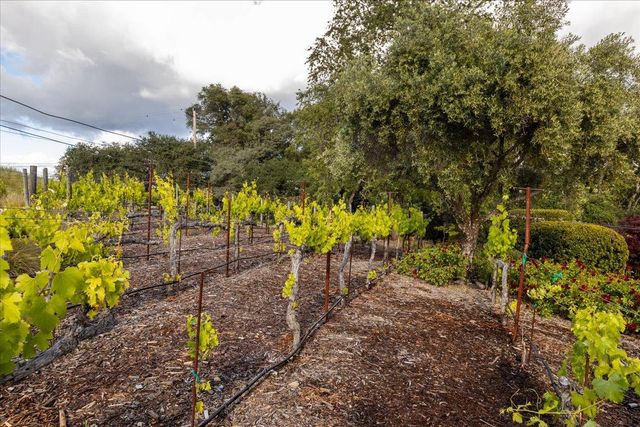 2620 Vineyard Dr, Auburn, CA 95603
