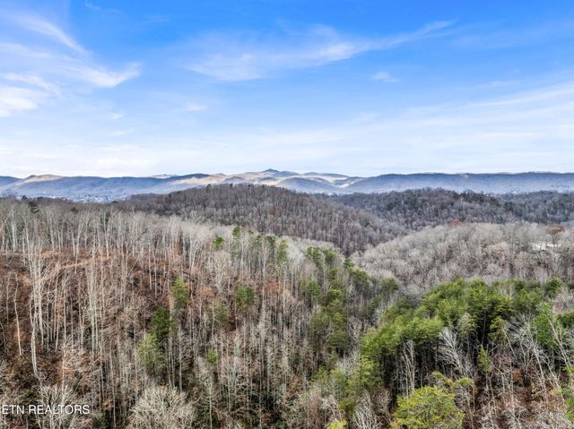 564 Quail Run Lane, Lafollette, TN 37766