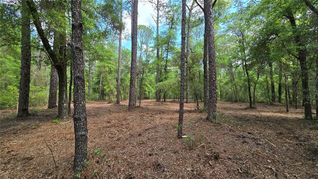 2797 W GRAPEVINE COURT, Dunnellon, FL 34433