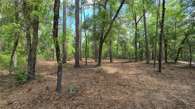 2797 W GRAPEVINE COURT, Dunnellon, FL 34433