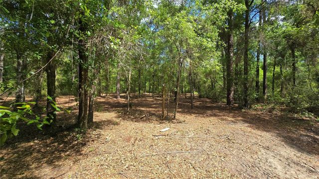 2797 W GRAPEVINE COURT, Dunnellon, FL 34433