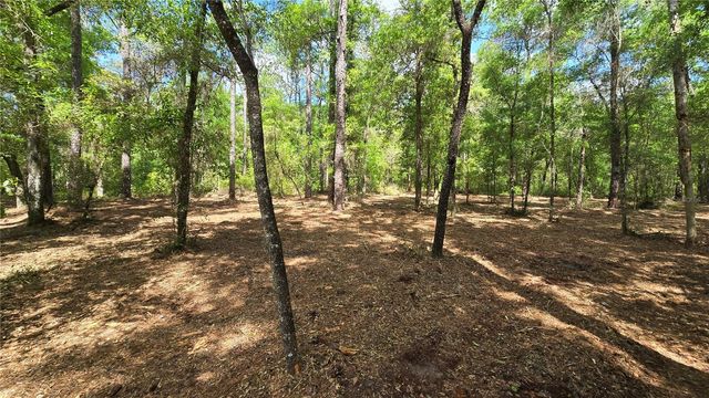 2797 W GRAPEVINE COURT, Dunnellon, FL 34433