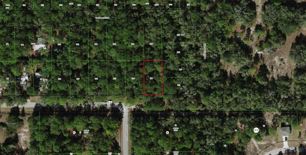 2797 W GRAPEVINE COURT, Dunnellon, FL 34433