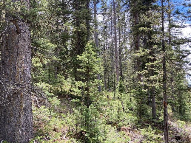 6588 Forbes Rd, San Luis, CO 81152