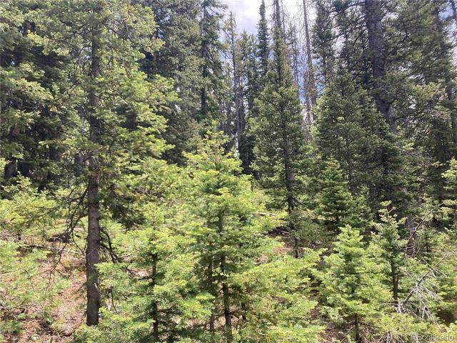 6588 Forbes Rd, San Luis, CO 81152