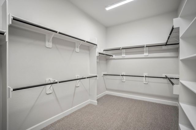 1207 Old Forest Drive, Missouri City, TX 77459