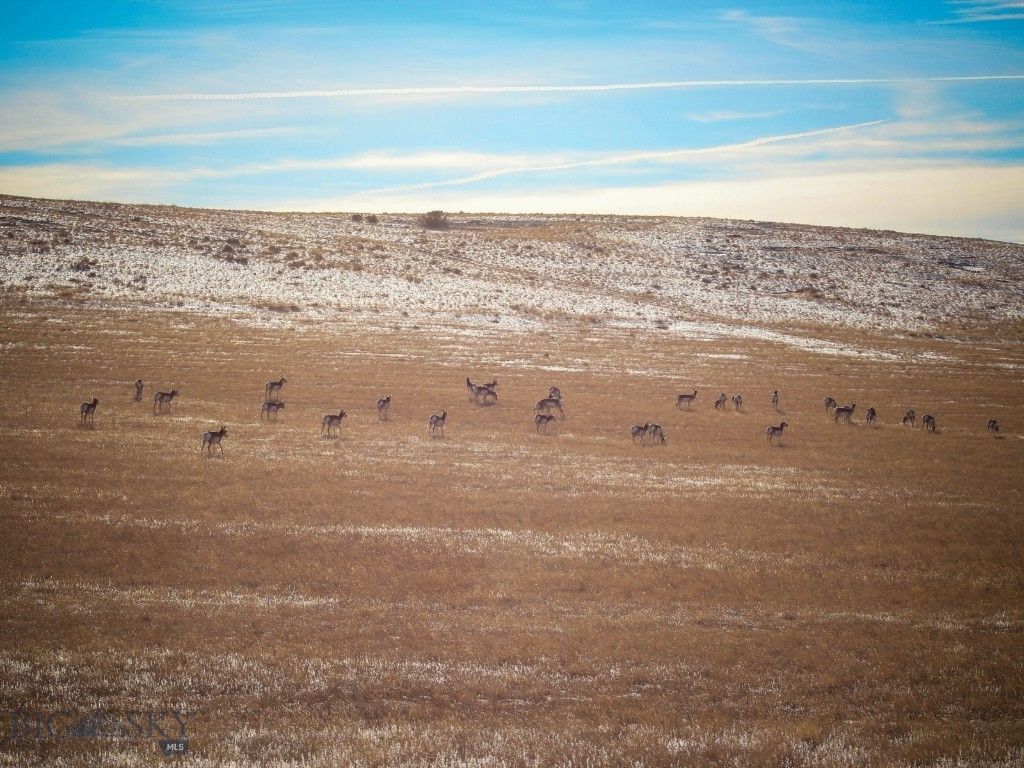 3000 Nixon Gulch Road, Manhattan, MT 59741 photo 32