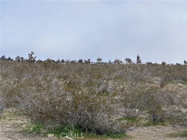 0 30980410, Phelan, CA 92371