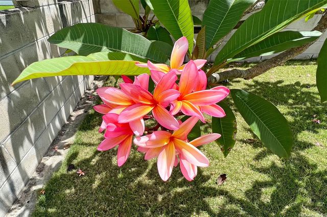 51-452 Kamehameha Highway, Kaaawa, HI 96730