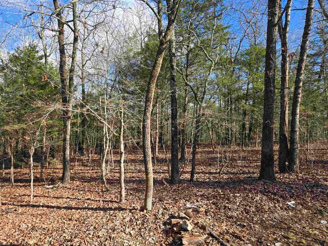 7 Ozoo Road, Cherokee Village, AR 72529