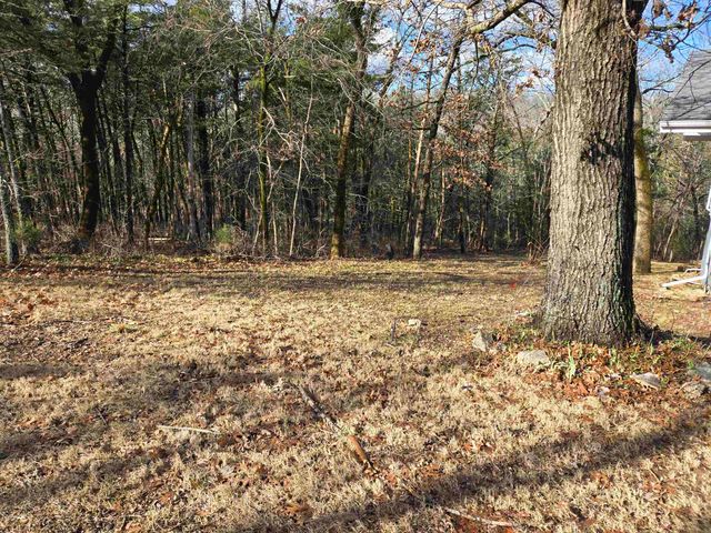 7 Ozoo Road, Cherokee Village, AR 72529