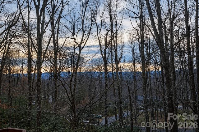 8 Shadywood Circle, Asheville, NC 28803