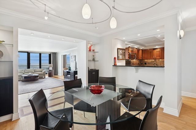 1212 N Lake Shore Drive 16BS, Chicago, IL 60610