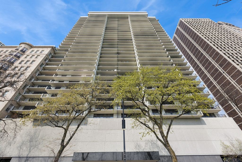 1212 N Lake Shore Drive 16BS, Chicago, IL 60610