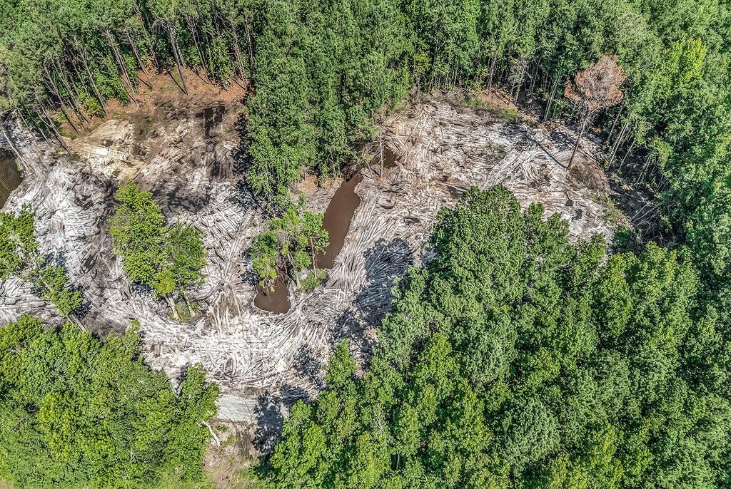 TBD Lot 2 Coats Rd., Loris, SC 29569 — photo 2