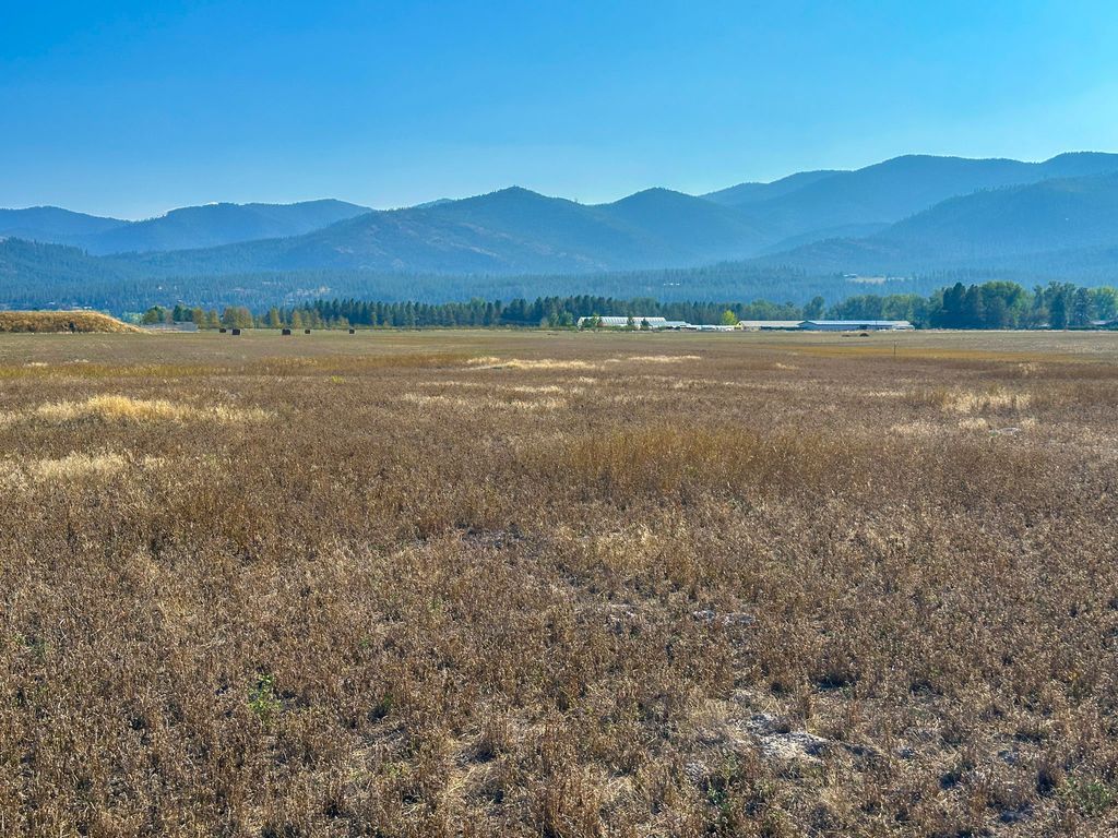 NHN Picea Place Lot 13, Plains, MT 59859 photo 5