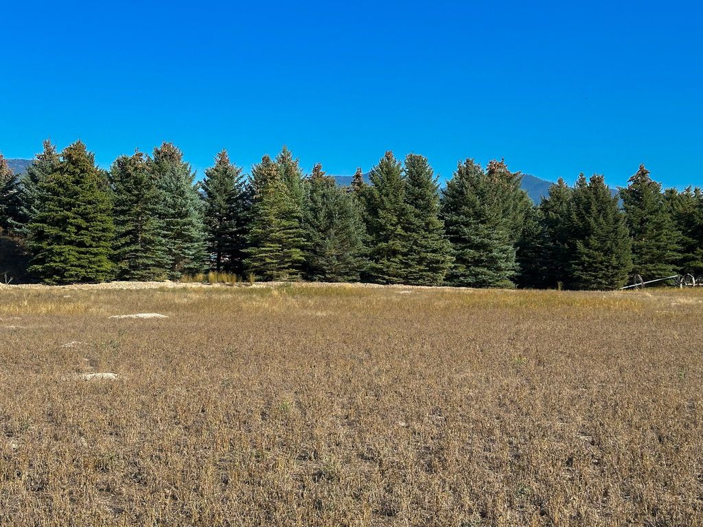 NHN Picea Place Lot 13, Plains, MT 59859 photo 7