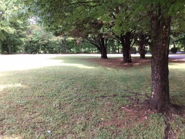 198 Rowan Drive, Mcdonough, GA 30252