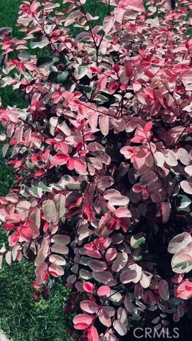 6128 E Conant, Long Beach, CA 90808