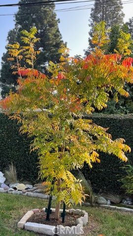 6128 E Conant, Long Beach, CA 90808