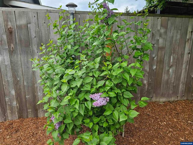 4814 Southstar Ct NE, Salem, OR 97305