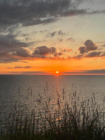 1192 Cherry Drive, South Haven, MI 49090