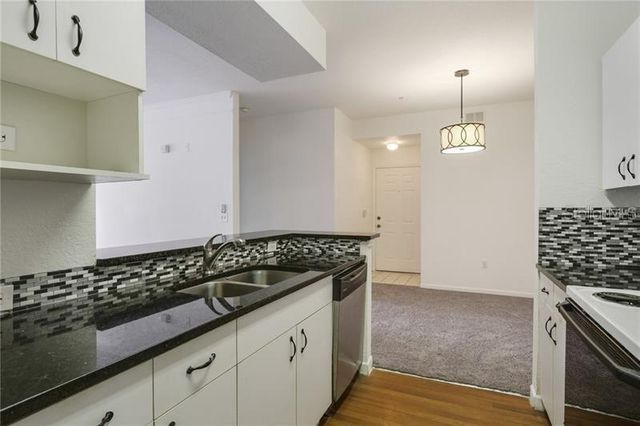17114 CARRINGTON PARK DRIVE 213, Tampa, FL 33647