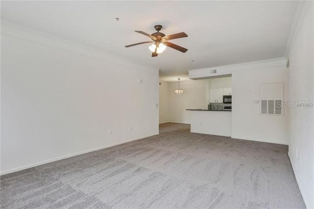 17114 CARRINGTON PARK DRIVE 213, Tampa, FL 33647