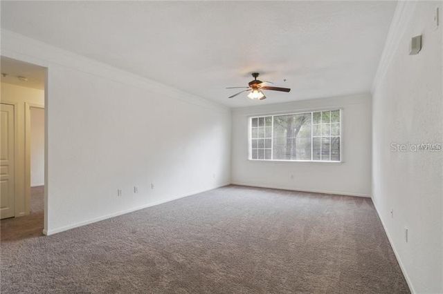 17114 CARRINGTON PARK DRIVE 213, Tampa, FL 33647