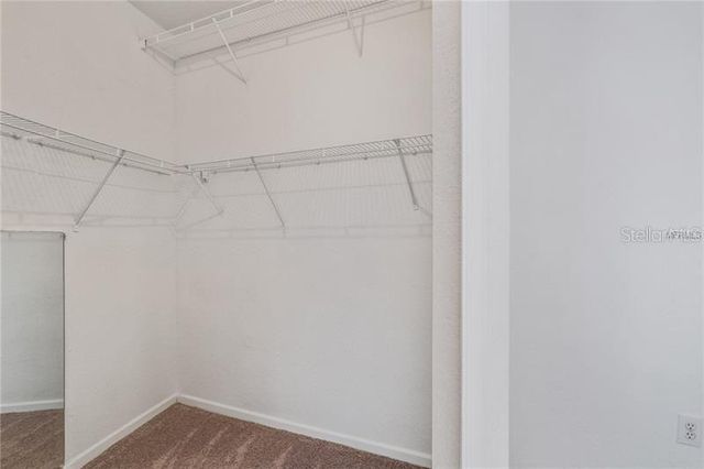 17114 CARRINGTON PARK DRIVE 213, Tampa, FL 33647