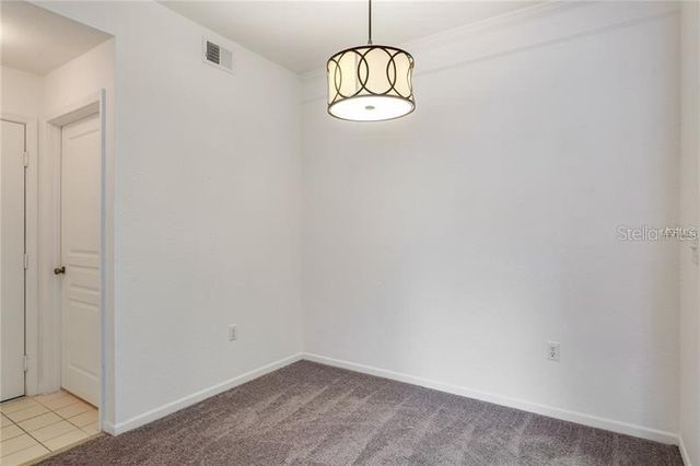 17114 CARRINGTON PARK DRIVE 213, Tampa, FL 33647