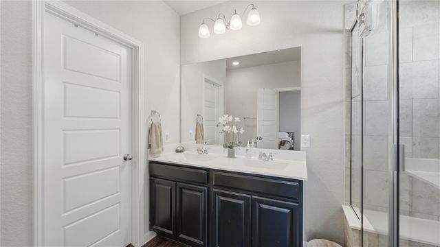 424 Agave Flats DR, New Braunfels, TX 78130