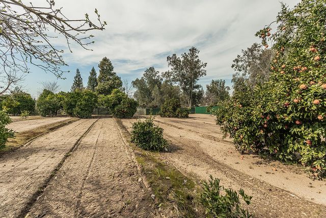 37303 Berkshire Drive, Madera, CA 93636