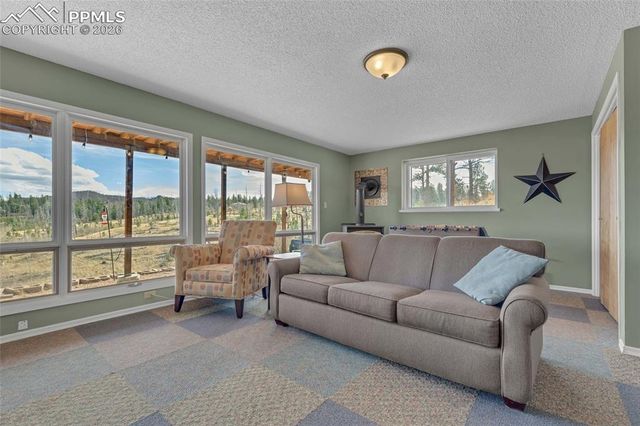 81 Hedges Circle, Woodland Park, CO 80863