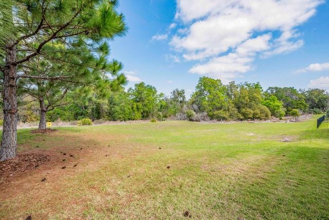 14259 NATURES RESERVE, Lithia, FL 33547
