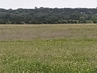 TBD County Road 309, Hamilton, TX 76531