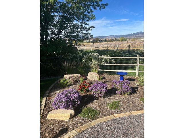3156 Ivy Dr, Loveland, CO 80537